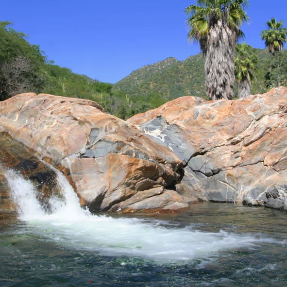 Disfruta de las maravillas naturales cercanas a Los Cabos